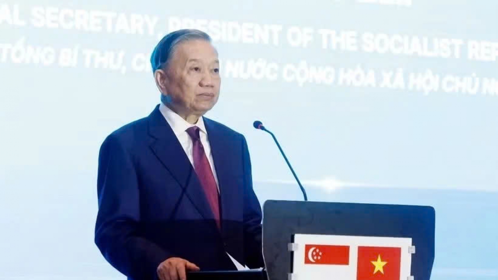 Vietnam and Singapore push beyond connectivity toward joint innovation